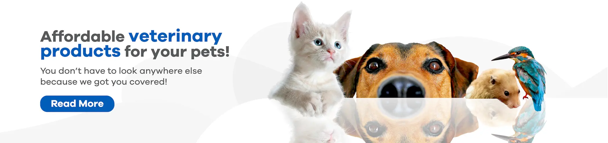 JCD Pet Banner