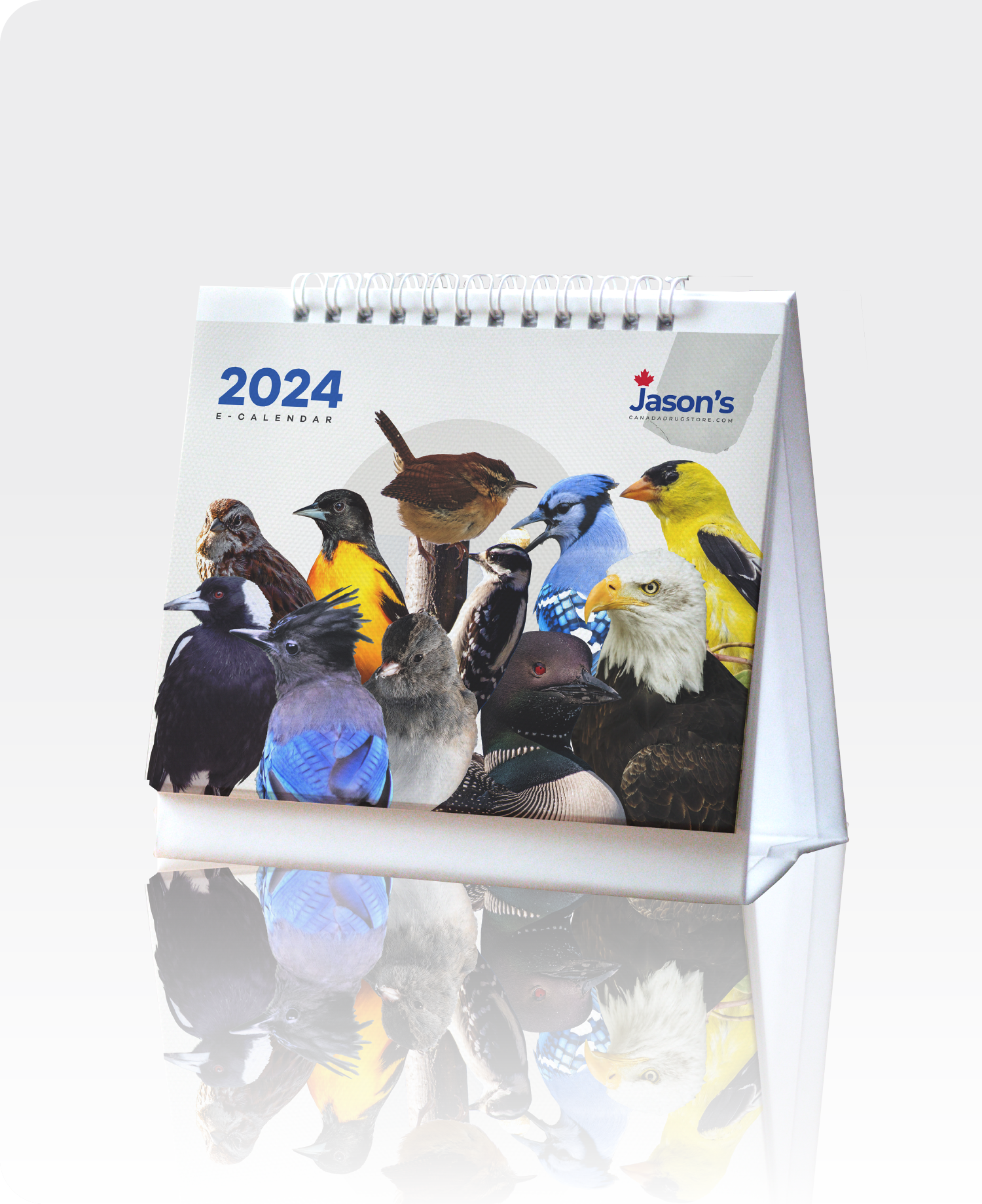 CanadaDrugstore Calendar Banner
