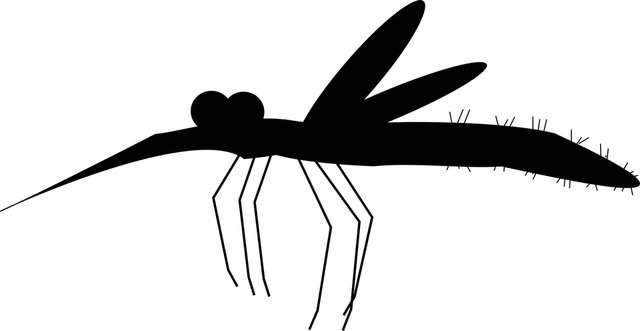 img condition